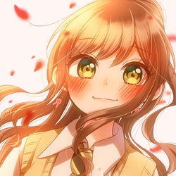 This is a pixiv picture whose title is HAPPY BIRTHDAY LISA!.