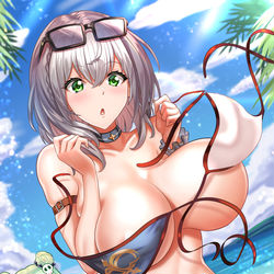 This is a pixiv picture whose title is ノエル団長サマー.