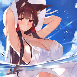 This is a pixiv picture whose title is 赤城さん.