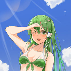This is a pixiv picture whose title is 早苗さん水着.
