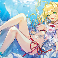 This is a pixiv picture whose title is 水着ネロ.
