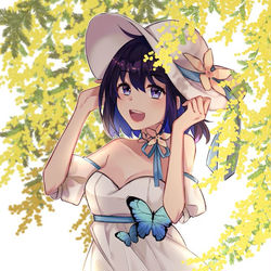 This is a pixiv picture whose title is ゼーレ・フェレライ.