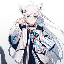 This is a pixiv picture whose title is 新白上.