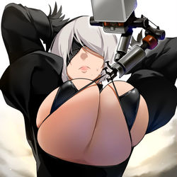 This is a pixiv picture whose title is 2B.