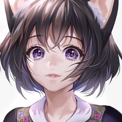 This is a pixiv picture whose title is いたずらくろねこ.