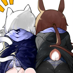 This is a pixiv picture whose title is 猫猫兔兔.