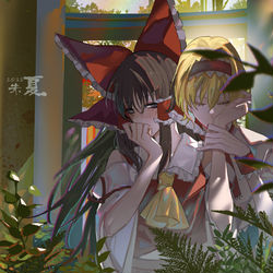 This is a pixiv picture whose title is 朱夏.