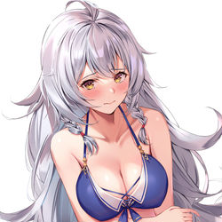 This is a pixiv picture whose title is シルヴァさん.