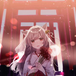 This is a pixiv picture whose title is 黎明の天狼.