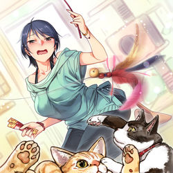 This is a pixiv picture whose title is ネコチャンと遊ぶ和久井留美さん.
