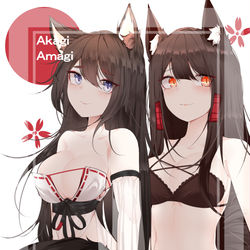 This is a pixiv picture whose title is Amagi & Akagi.