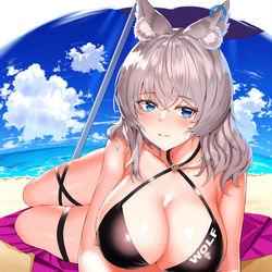 This is a pixiv picture whose title is うちの子サマー.