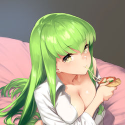 This is a pixiv picture whose title is C.C..