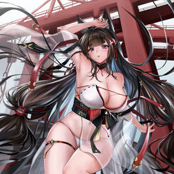 This is a pixiv picture whose title is 水着天城.