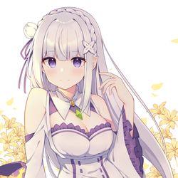 This is a pixiv picture whose title is エミリア.