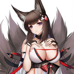 This is a pixiv picture whose title is 天城.