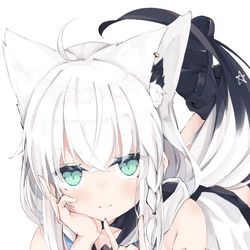 This is a pixiv picture whose title is 白上フブキ.