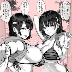 This is a pixiv picture whose title is オリジナル　双子ちゃん（水着）.