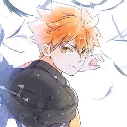 This is a pixiv picture whose title is 日向と影山.