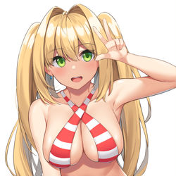 This is a pixiv picture whose title is 水着ネロ.