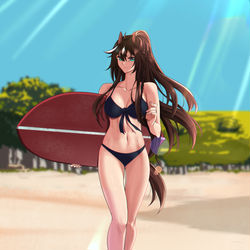 This is a pixiv picture whose title is Meteor.