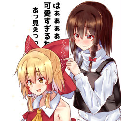 This is a pixiv picture whose title is レイマリ衣装交換.