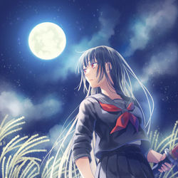 This is a pixiv picture whose title is 8日目「お月見」.