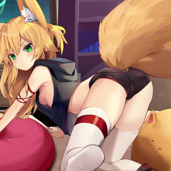 This is a pixiv picture whose title is しりぎつね.