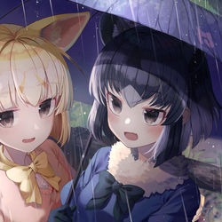 This is a pixiv picture whose title is 雨 - フェネック,アライグマ.