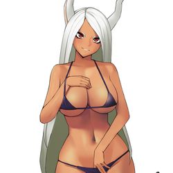 This is a pixiv picture whose title is miruko.