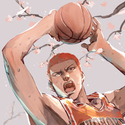 This is a pixiv picture whose title is 桜木花道.