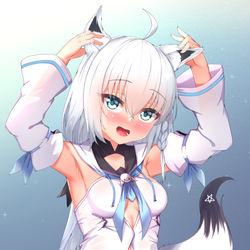 This is a pixiv picture whose title is 白上フブキ.