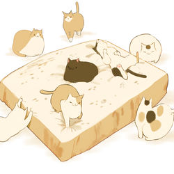 This is a pixiv picture whose title is 食パンねこ.