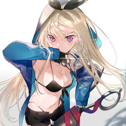 This is a pixiv picture whose title is Alice.