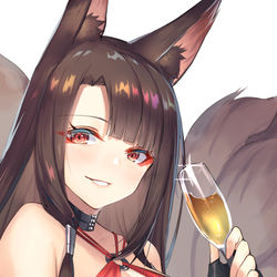 This is a pixiv picture whose title is 赤城.