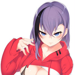 This is a pixiv picture whose title is 例のパーカーナスコ.