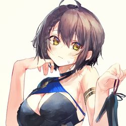 This is a pixiv picture whose title is ボルチモア.