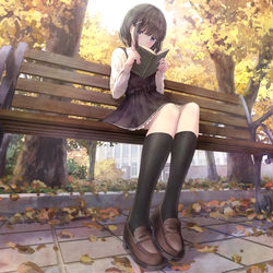 This is a pixiv picture whose title is 野良猫目線の読書の秋.