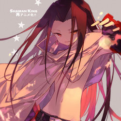 This is a pixiv picture whose title is ハオ様.