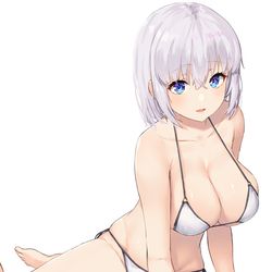 This is a pixiv picture whose title is 水着のお姉さん.