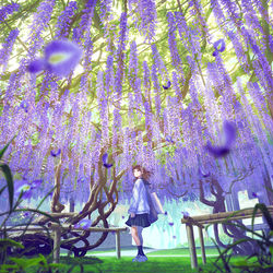 This is a pixiv picture whose title is 藤重ね.