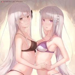 This is a pixiv picture whose title is Echidna x Emilia.