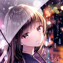 This is a pixiv picture whose title is 夜の雨.