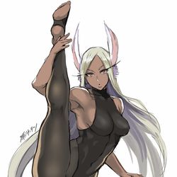 This is a pixiv picture whose title is I字バランスミルコさん.