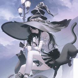 This is a pixiv picture whose title is cat.