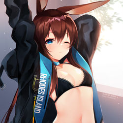 This is a pixiv picture whose title is Amiya.