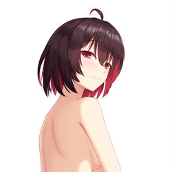This is a pixiv picture whose title is seele.