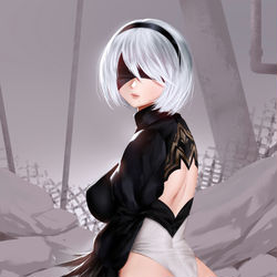 This is a pixiv picture whose title is 2B.