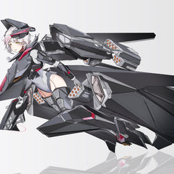 This is a pixiv picture whose title is vf_sg.