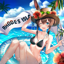 This is a pixiv picture whose title is 水着アーミヤ.
